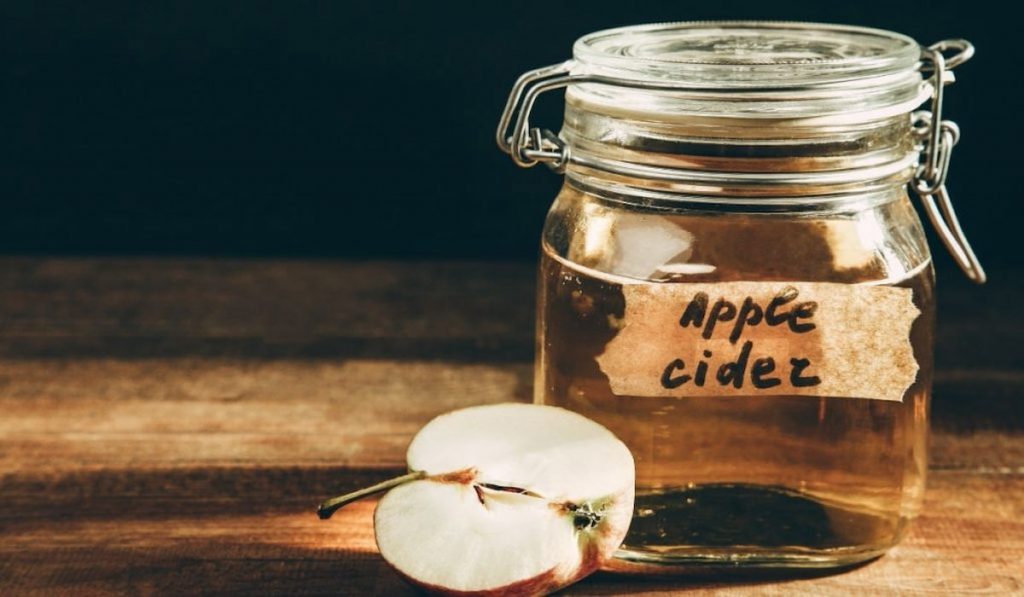 Apple Cider Vinegar in a jar and sliced apple 