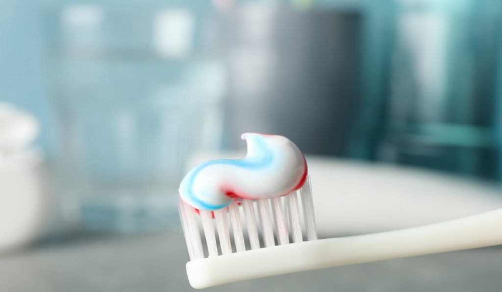 Toothbrush with toothpaste, close up.